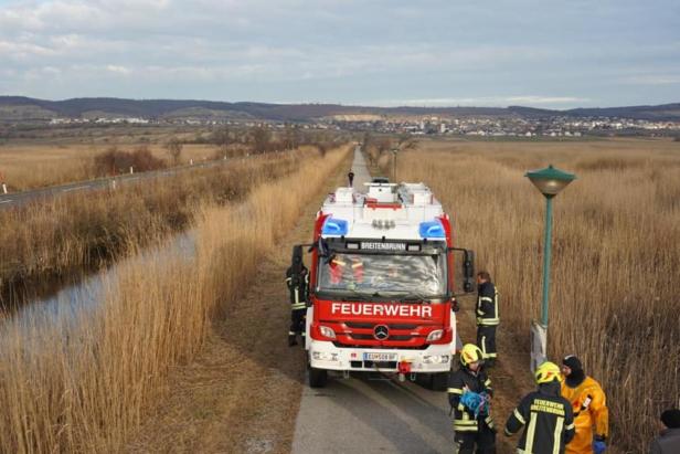 Falscher Alarm: Feuerwehr wollte Schwan retten, aber der flüchtete