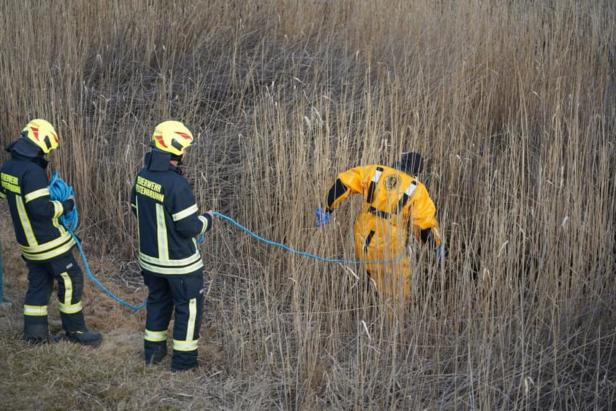 Falscher Alarm: Feuerwehr wollte Schwan retten, aber der flüchtete