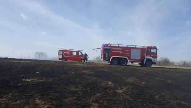 Flurbrand im Nationalpark Neusiedler See: Sechs Hektar in Flammen