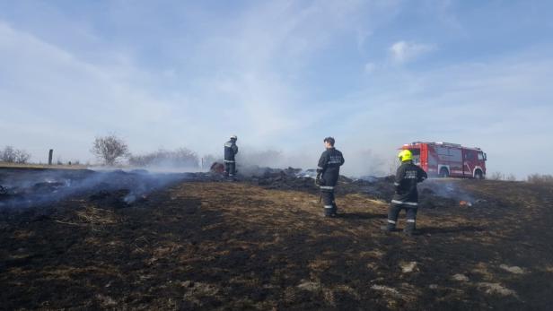 Flurbrand im Nationalpark Neusiedler See: Sechs Hektar in Flammen