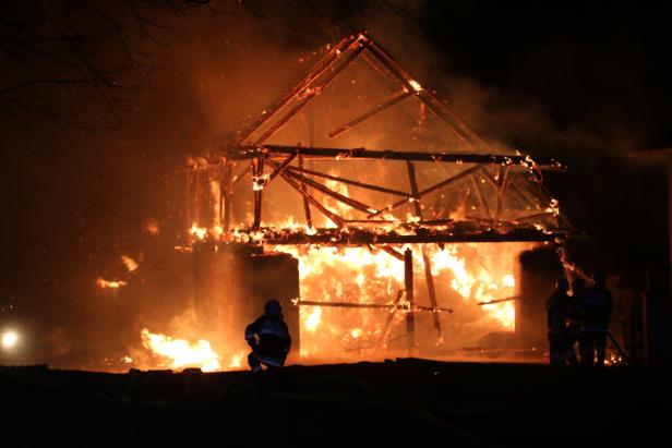 Großbrand in Gestüt: 26 Pferde gerettet