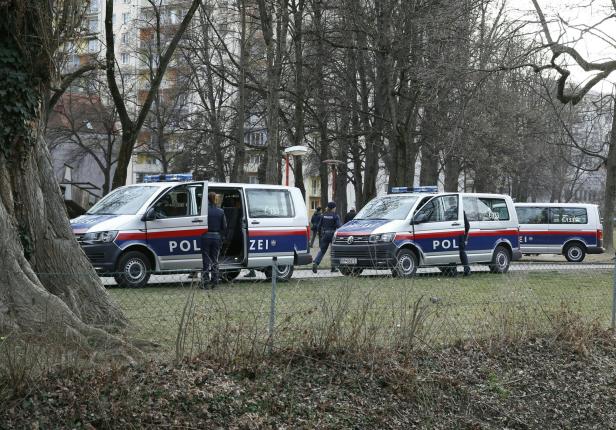 Mehrere Einsatzfahrzeuge der österreichischen Polizei stehen in einem Park.