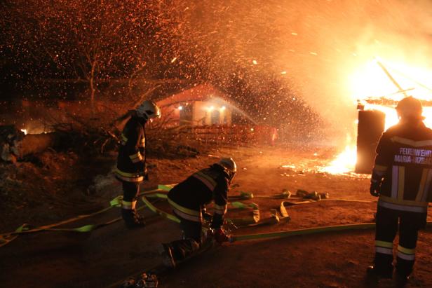 Großbrand in Gestüt: 26 Pferde gerettet