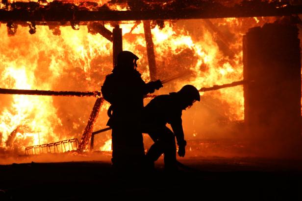 Großbrand in Gestüt: 26 Pferde gerettet