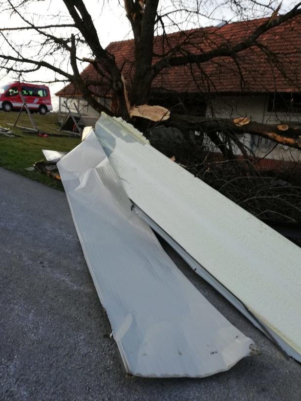 Ein abgebrochener Baum liegt auf einem Dach, während im Hintergrund ein rotes Einsatzfahrzeug zu sehen ist.