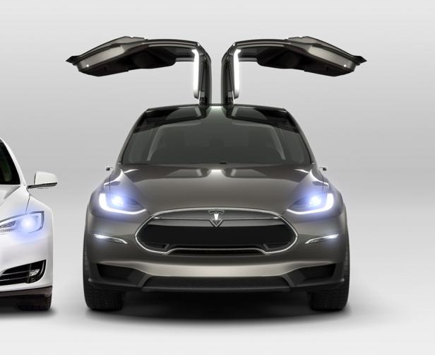 Ein graues Tesla Model X mit geöffneten Flügeltüren steht vor einem weißen Tesla.