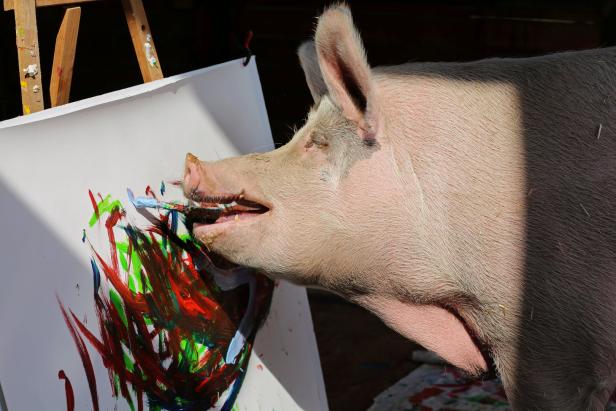 "Pigcasso": Schweinischer Expressionismus