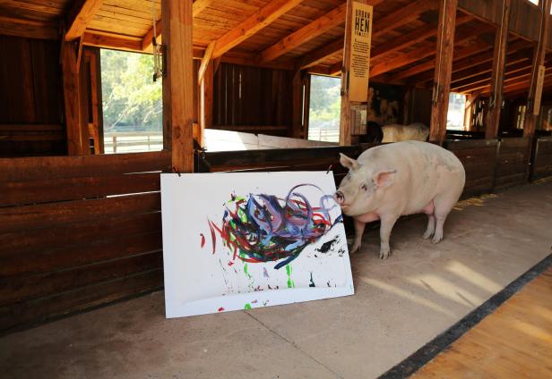 "Pigcasso": Schweinischer Expressionismus