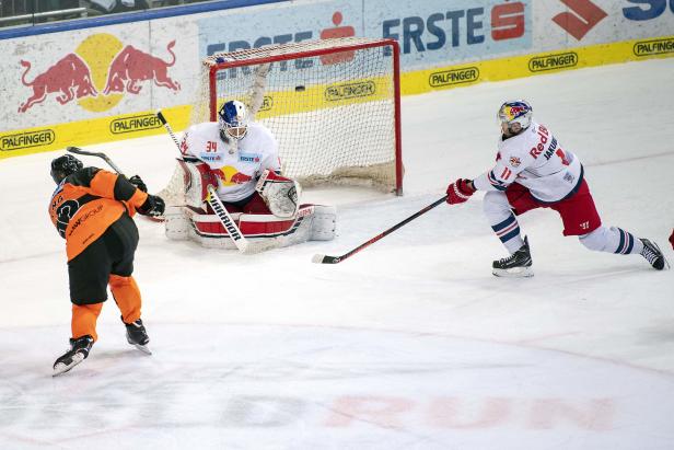 Eishockey-Viertelfinale: Wer soll die Vienna Capitals stoppen?