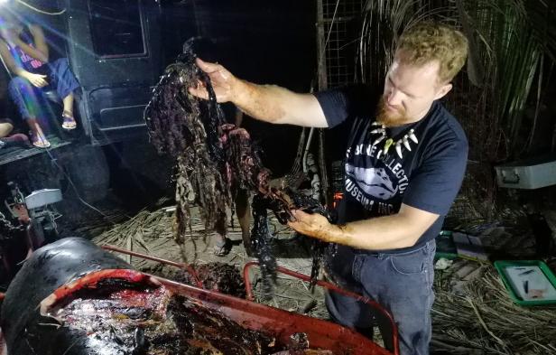 Philippinen: Verendeter Wal hatte 40 Kilo Plastikmüll im Magen
