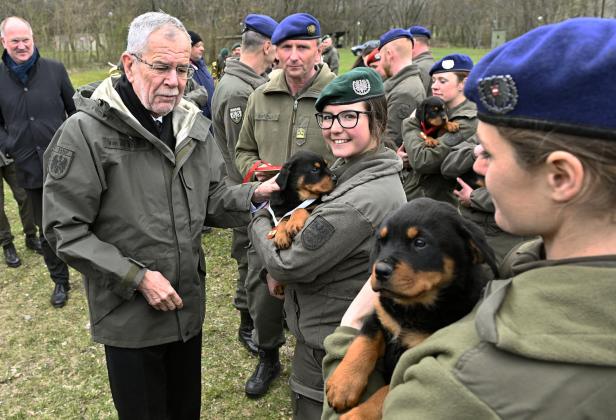 Welpentaufe: Acht neue Hunde-Soldaten für das Bundesheer