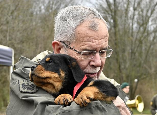 Welpentaufe: Acht neue Hunde-Soldaten für das Bundesheer
