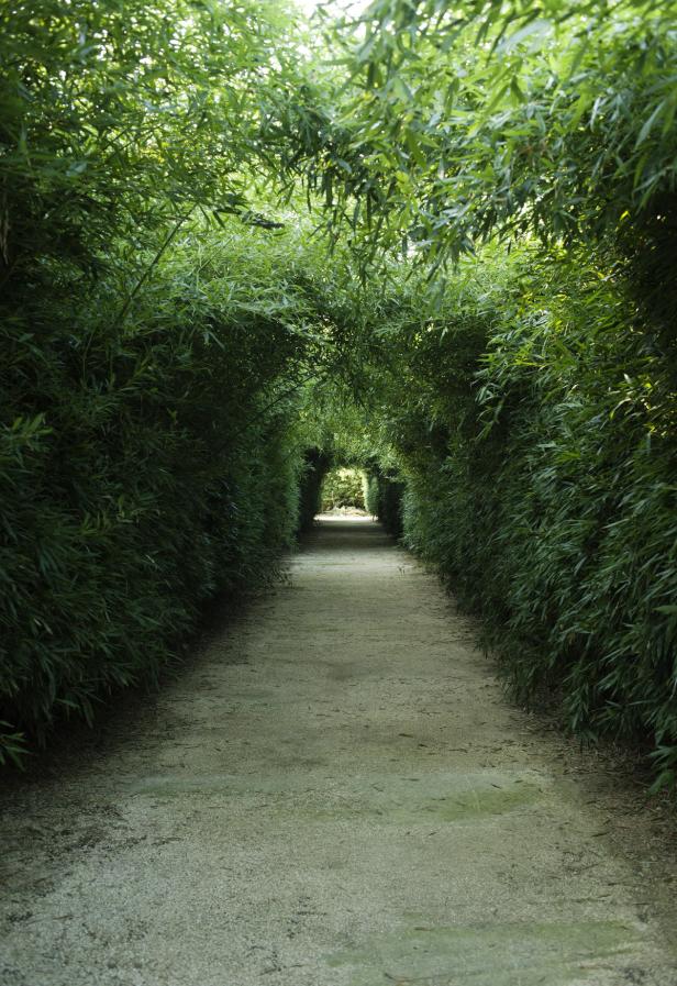 Das größte Labyrinth der Welt