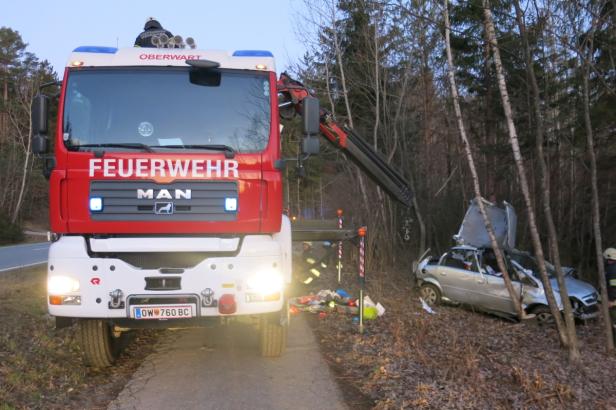 Feuerwehr musste Lenker aus Unfallauto befreien