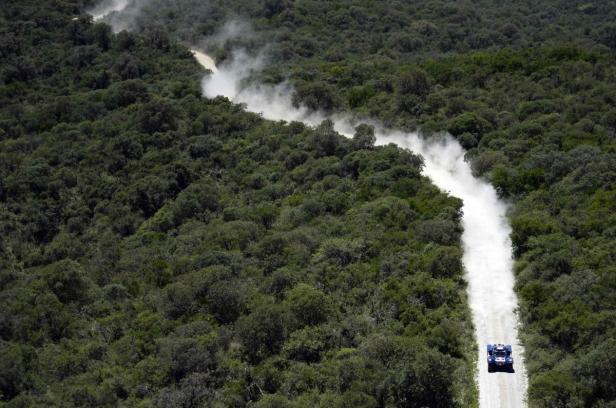 Ein blaues Rallyeauto fährt auf einer staubigen Straße durch einen dichten Wald.