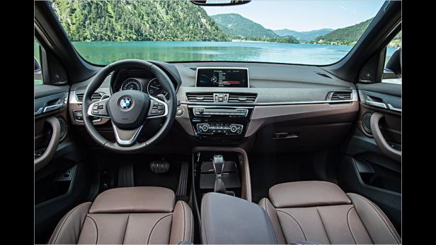 Innenansicht eines BMW mit Blick auf einen See und Berge.