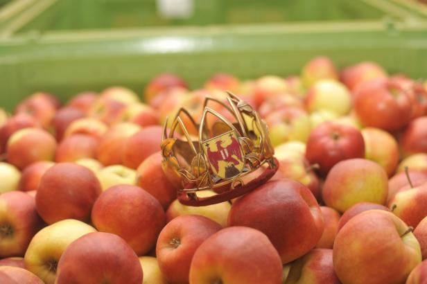 Eine Königin für die Obstproduzenten des Landes