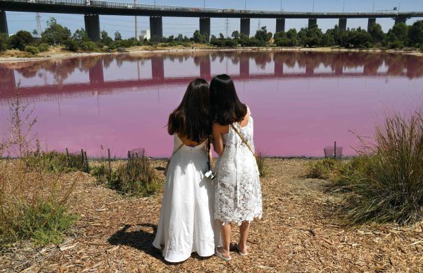 See in Pink: Farbenfrohes Gewässer in Melbourne lockt Touristen an