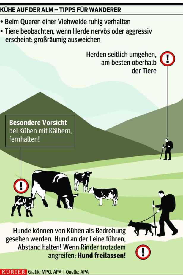 Kurse für Wanderer: Auf Du und  Du mit der Kuh
