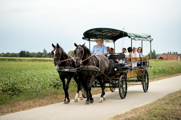 Fiaker ziehen ins Grüne: Zwei neue Kulinarik-Fahrten am Start