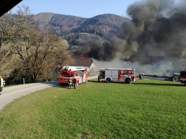Hackschnitzellager brannte in NÖ: Acht Feuerwehren im Einsatz