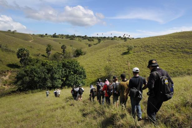 Eine Gruppe von Wanderern geht durch eine hügelige Landschaft mit Gras und vereinzelten Bäumen.