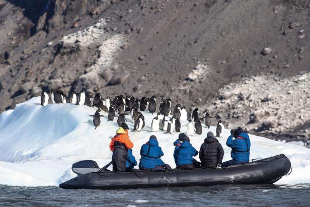 Antarktis Expedition: Menschenfeindlich und wunderschön