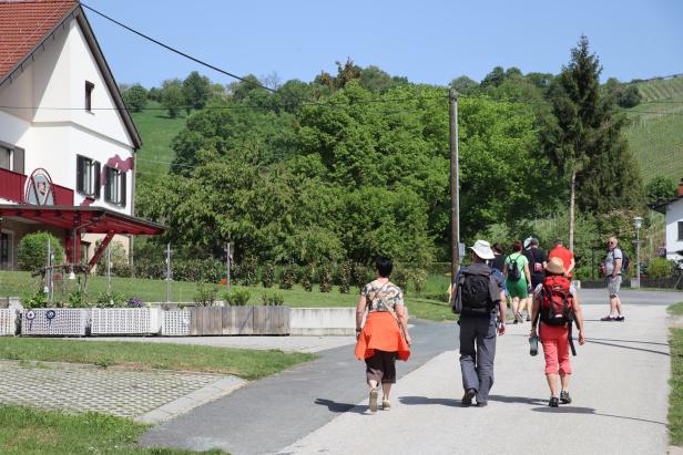 Weinfrühling lässt Urlauber ins Südburgenland pilgern