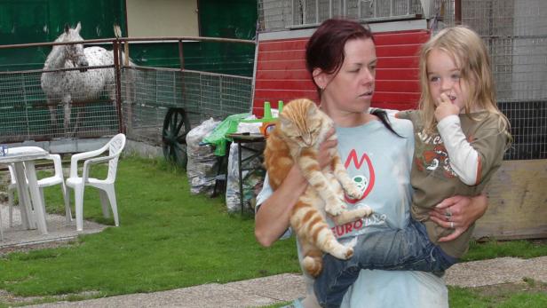 Tierquäler reißt Katzen Schneidezähne aus