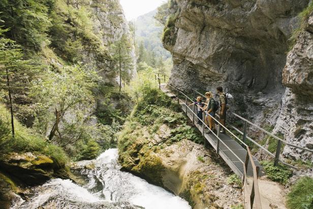 Ein Tag Naturerlebnis im Panoramawagen der Mariazellerbahn