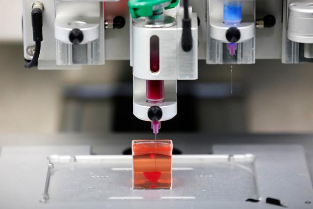 Herz aus dem 3D-Drucker: Israelische Forscher druckten mit menschlichen Zellen