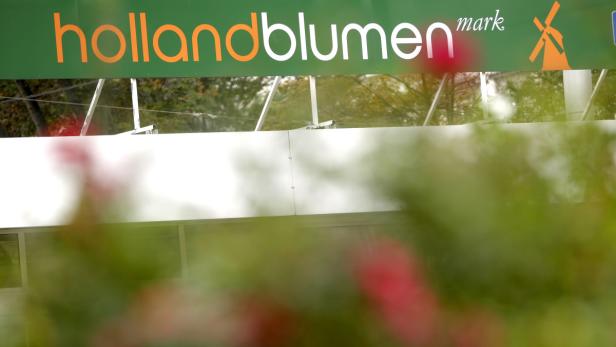 Ein Schild von „hollandblumen mark“ mit einer Windmühle.