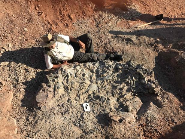 Argentinien: Forscher entdecken 220 Millionen Jahre alte Fossilien