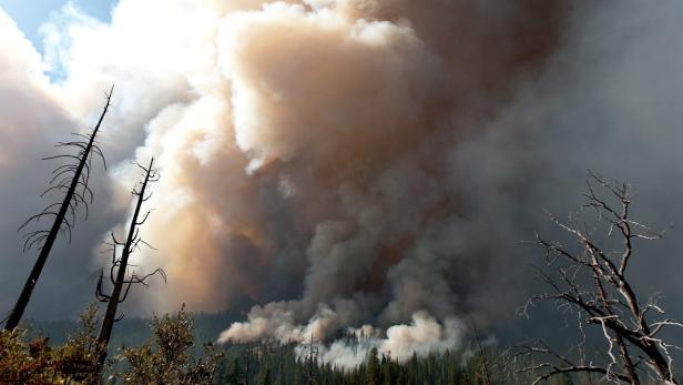 Kalifornien: Feuer wütet seit zehn Tagen