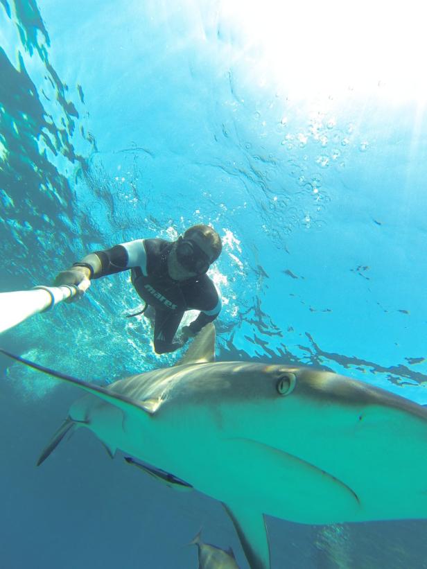 Atemlos durch die Weltmeere: Der Mann, der mit Haien kuschelt