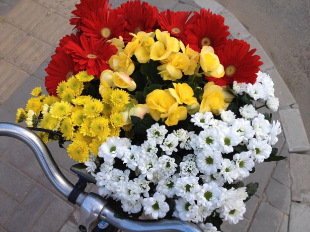 Ein Fahrradkorb ist mit roten, gelben und weißen Blumen gefüllt.