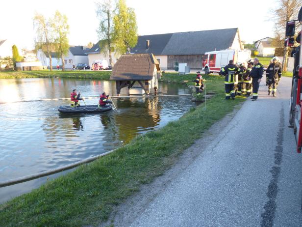 Pensionist stürzte mit Wagen in Teich