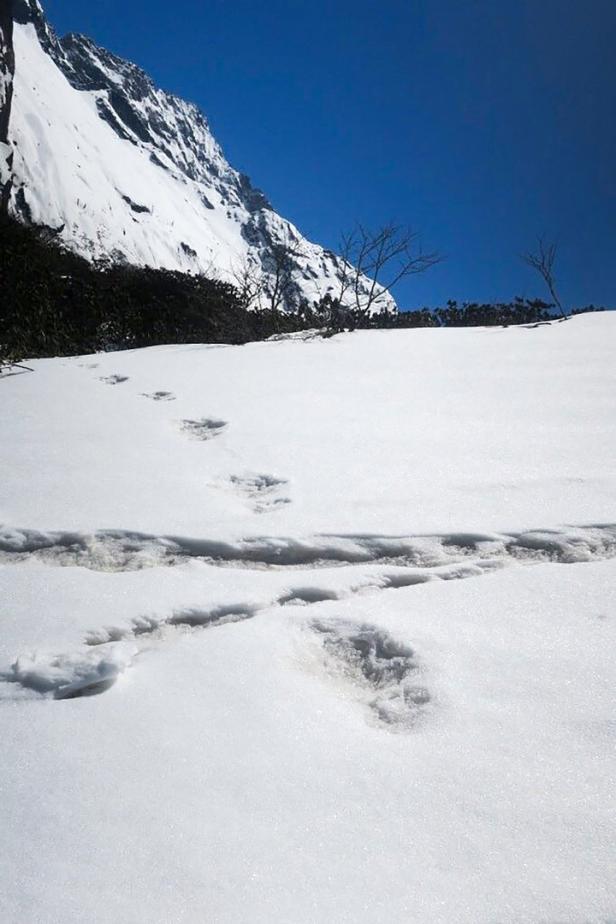 Indische Armee veröffentlichte Fotos von angeblichen Yeti-Spuren