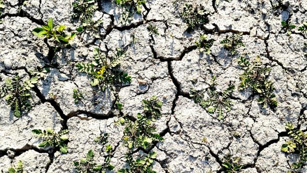 Dürren könnten mit dem Klimawandel zusammenhängen