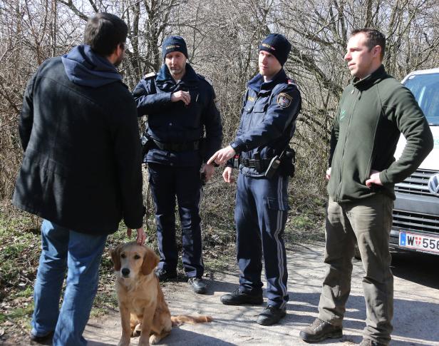 1.000 Euro: Rigorose Strafen für freilaufende Listenhunde