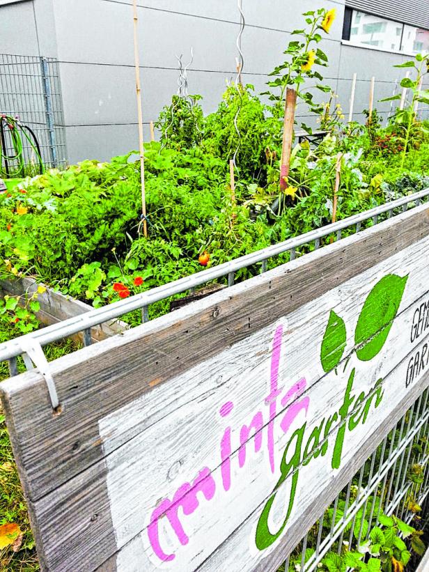 Gemeinschaftsgärten: Landwirte in der Stadt