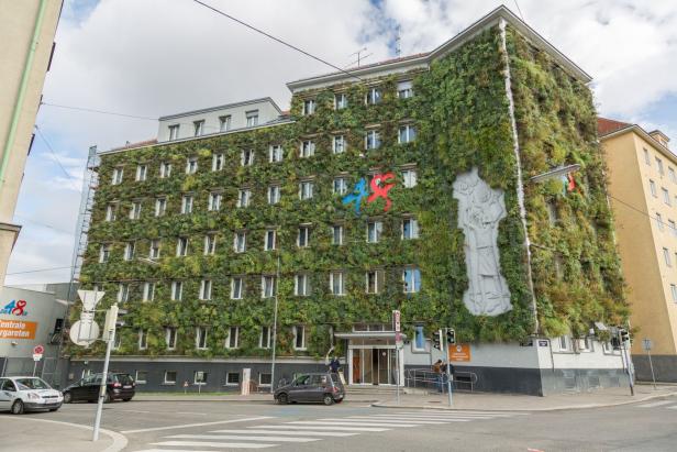 Wie grüne Fassaden Leben retten