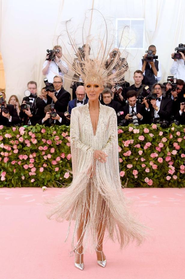 Céline Dion bei Met Gala: "Sieht aus wie trocknende Pasta"