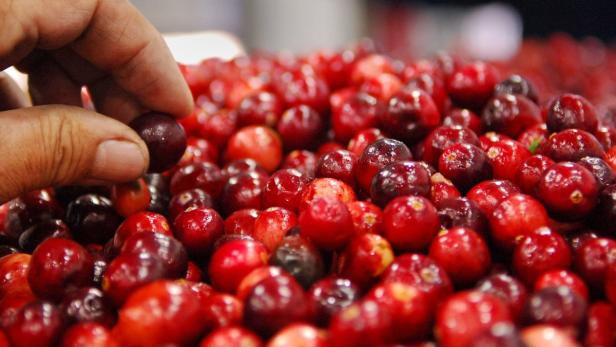 Rote Cranberrys sollen gegen Blasenentzündung helfen.
