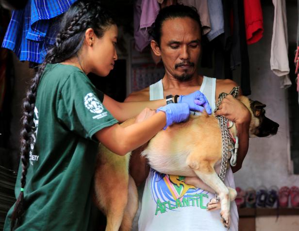 Von Hundewelpen gekratzt: Touristin stirbt an Tollwut