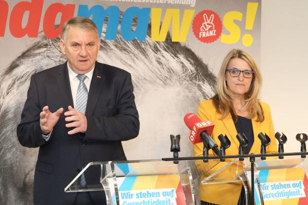 SPÖ-Vizes rückten zur Schnabl-Verteidigung aus
