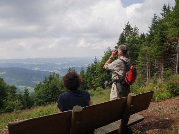 Schwarzwald: Sanftes Wandern – mit oder ohne Schuh’