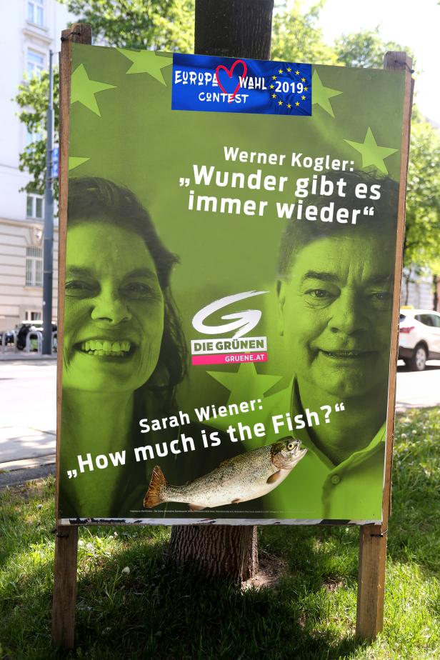 Spitzenkandidat Kogler: Der Grüne mit den kecken Sprüchen