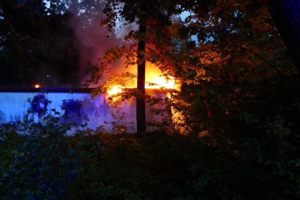 Lkw-Anhänger ging in Grazer Murauen in Flammen auf
