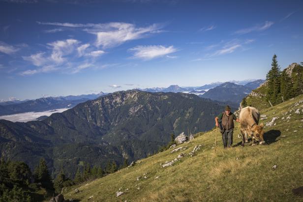 Diesen Sommer gehen wir Almwandern in den Ybbstaler Alpen